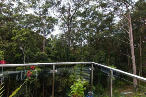 Kookaburras At Smiths - Accommodation Sydney 7
