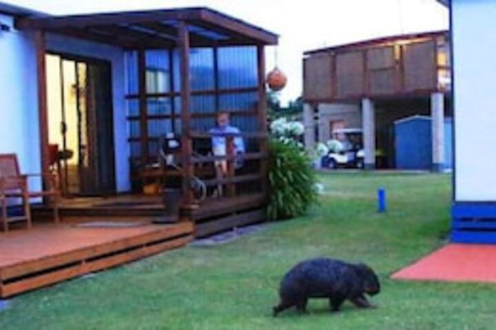 Kelso TAS Accommodation Sydney