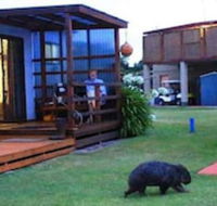 BIG4 Kelso Sands Holiday Park - Accommodation Sydney