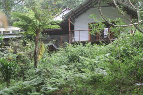 Peaceful Rainforest Wildlife Retreat - Sydney 4u 3