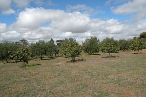 Thalia Getaway Villa - Accommodation Sydney 2