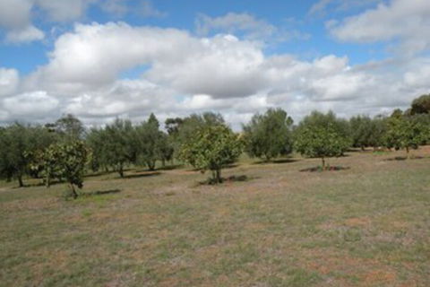 Thalia Getaway Villa - Accommodation Sydney 3