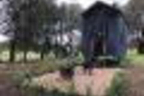 Willandra Tiny House - Sydney 4u 5