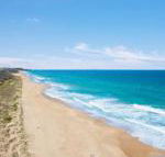 Jimmys Shout Pet Friendly - Sydney 4u