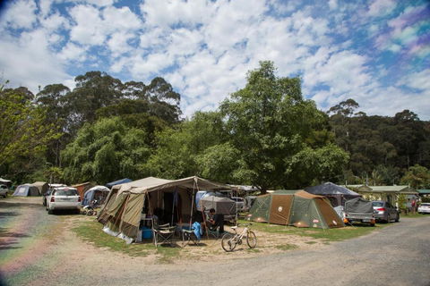 Warburton Holiday Park - Sydney 4u 2
