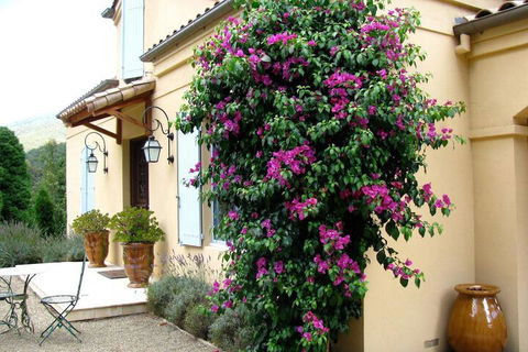 Casa Valeri - Sydney 4u 3