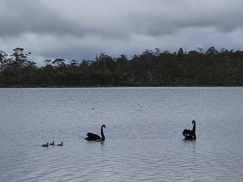 Lake Yalleena Nature Retreat - Accommodation Sydney 0