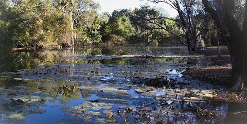 Springvale Homestead - Sydney Resort 1