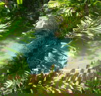 Palm Cove Tropic Apartments - Sydney 4u