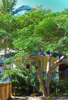 Ewingsdale NSW Accommodation Sydney