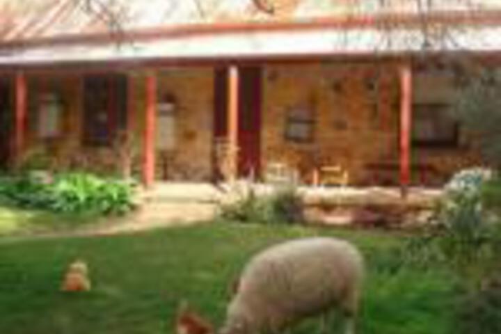  Accommodation Sydney