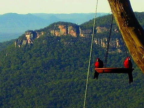 Valley Of The Waters B&B - Sydney 4u 3
