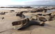 SURFSIDE GETAWAY In PICTURESQUE INVERLOCH - thumb 4