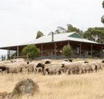 Gilgraves Vineyard Farmstay - Accommodation Sydney
