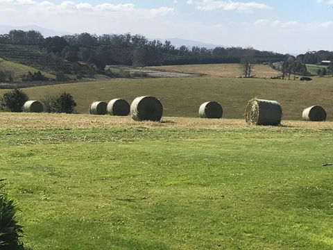 Windrush BnB Comboyne Australia - Accommodation Sydney 3