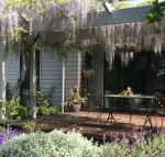 Windrush BnB Comboyne Australia - Accommodation Sydney