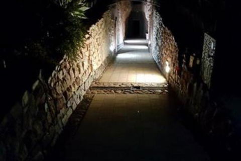 Zen Underground B & B - Accommodation Sydney 2