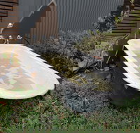 William Hunts Retreat Cypress Studio - Sydney Resort