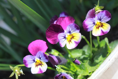 Donnelly House - Accommodation Sydney 2