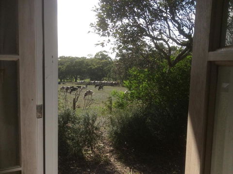 Aashay B & B - Sydney 4u 3
