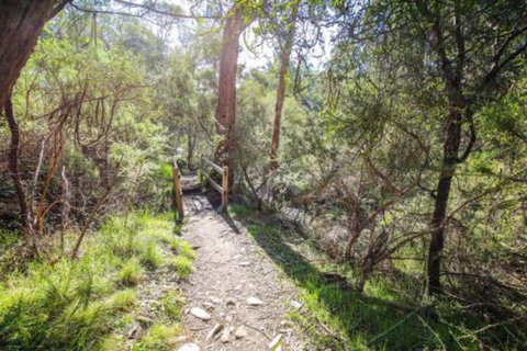 Northern Exposure - Accommodation Sydney 7