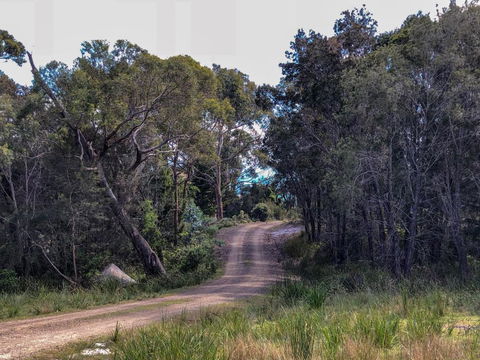 BAY Of FIRES ECO HUT Off Grid Experience At Binalong Bay - Accommodation Sydney 3