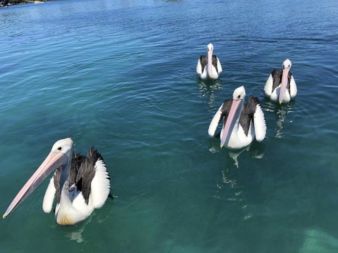 Aquarius 9 Opposite Wallis Lake - Accommodation Sydney 6