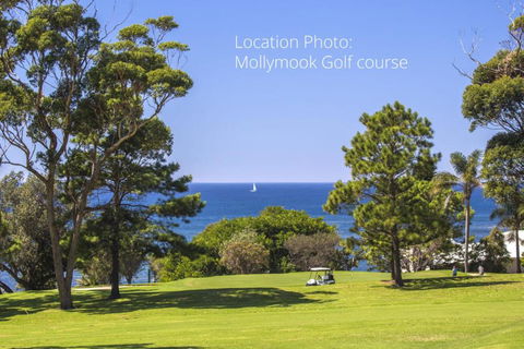 Mollymooks Tee To Sea 19 Buchan Street - Sydney 4u 2