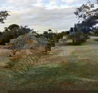 Young Budget Accommodation - Accommodation Sydney