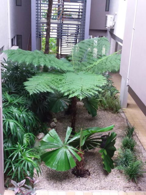 Jackies Studio Apartment - Accommodation Sydney 5