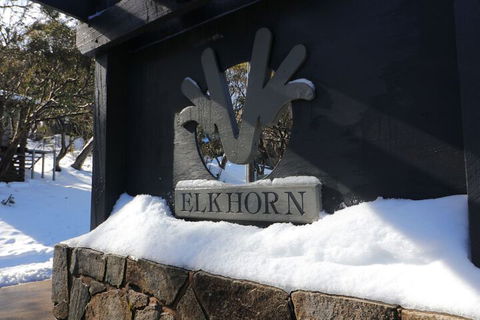 Elkhorn 11 - Accommodation Sydney 1