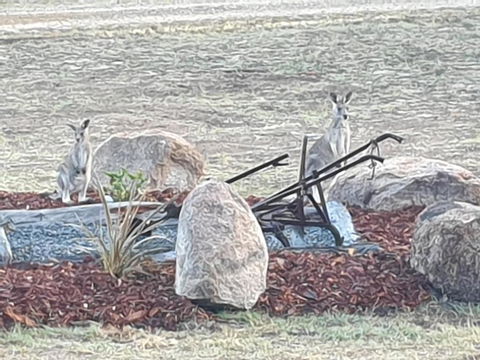 R & R On The Ravine - Accommodation Sydney 5