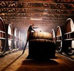 Pieter van Gent Winery  Vineyard - Accommodation Sydney