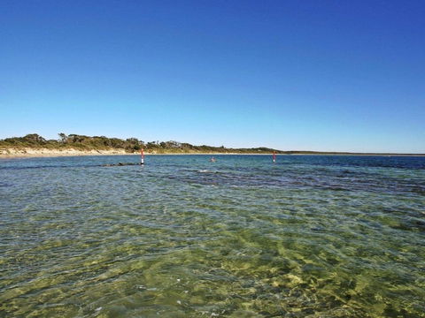 Seahorse Beach Just 550m From House - Accommodation Sydney 1