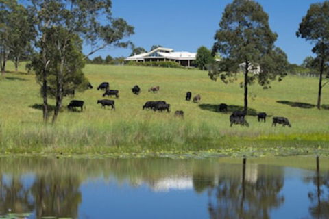 Talumberi 221 Trapyard Road - Accommodation Sydney 0