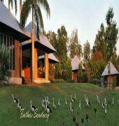 Feathers Sanctuary - Accommodation Sydney 6
