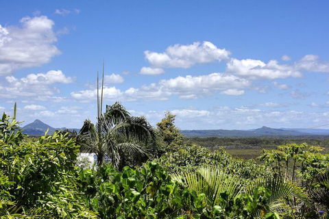 Piccolo Peregian - Pet Friendly- Peregian Beach, QLD - Accommodation Sydney 7