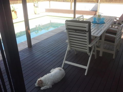 Minutes Walk To Peregian Beach & Surf! Unit 1 / 28 Pelican Street - Accommodation Sydney 1