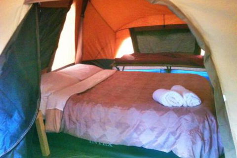 WA Wilderness Glamping - Sydney 4u 3
