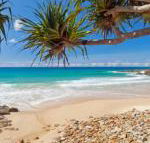 Coolum Classic Beach Shack Pet Friendly - Accommodation Sydney
