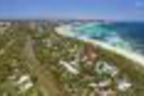Seagull - Accommodation Sydney 4