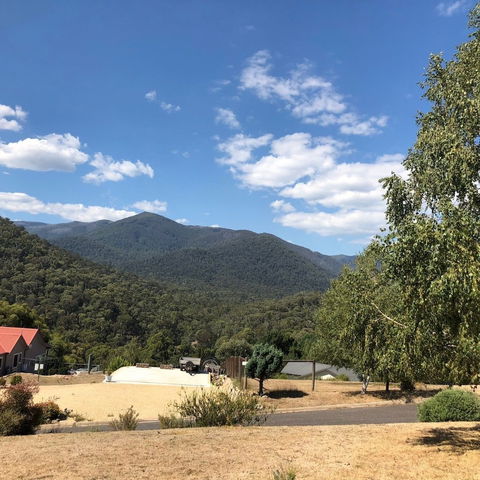 Alpine Stag Lodge House - Accommodation Sydney 5
