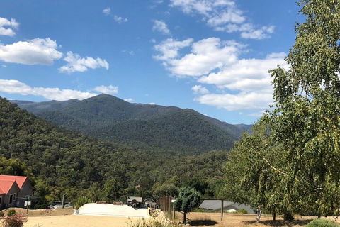 Alpine Stag Lodge Unit 2 - Accommodation Sydney 7
