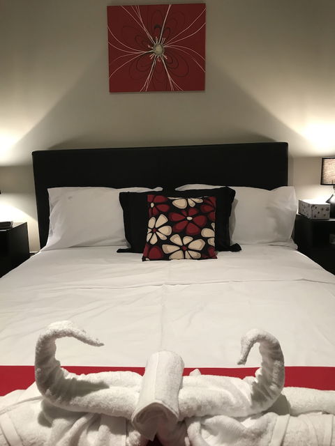 Serviced Apartments Sydney - Accommodation Sydney 5