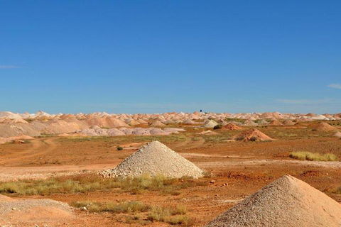 Alis Underground - Accommodation Sydney 5