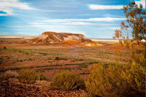 Alis Underground - Accommodation Sydney 2