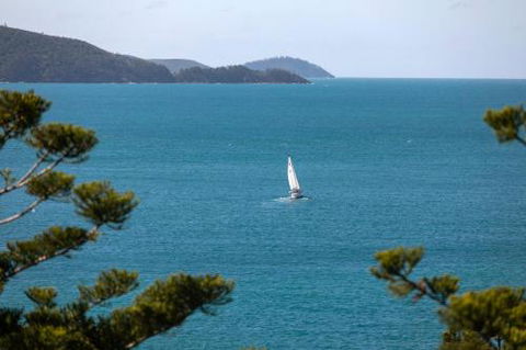 NEW Northcape 1 Ocean Front 2 Bedroom Choose Between 2 Properties - Accommodation Sydney 2