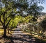 Capers Guesthouse Barn  Cottage - Sydney 4u