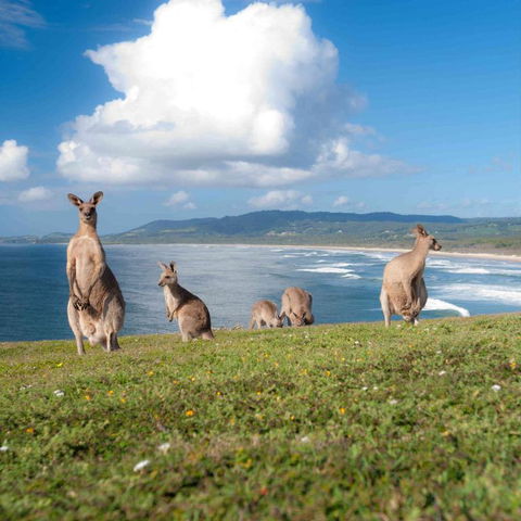 FAMILY ISLAND GETAWAY BEACHFRONT APARTMENT - Accommodation Sydney 4