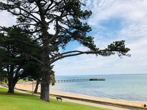 FAMILY ISLAND GETAWAY BEACHFRONT APARTMENT - Accommodation Sydney 3